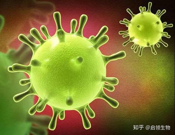 这个冬天不平静,新型冠状病毒来袭