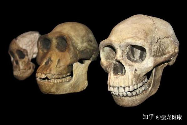而现代人,可比古代人对牙齿的保护工作做得全面多了.