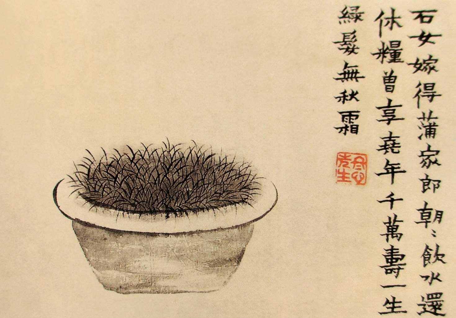 自唐宋开始,石上种菖蒲,盆中蓄清泉,石,菖蒲,清泉相合,所谓「白石清泉