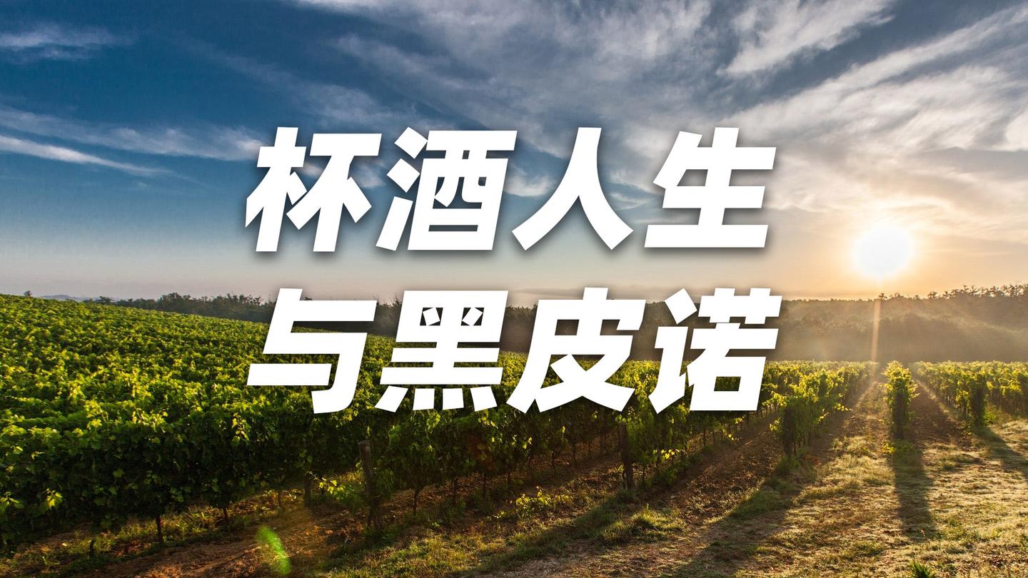 黑皮诺与杯酒人生
