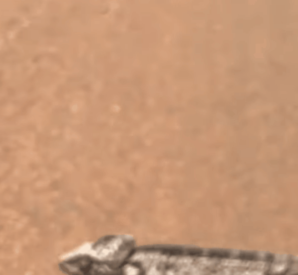 v2 177051dd8978be534deffebde0f951de 720w