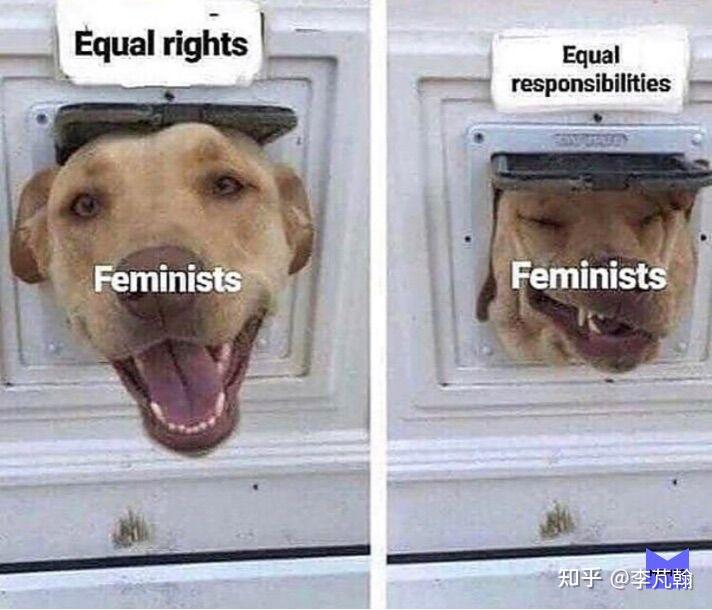 反击时刻搬运自外网memes的反女权表情包