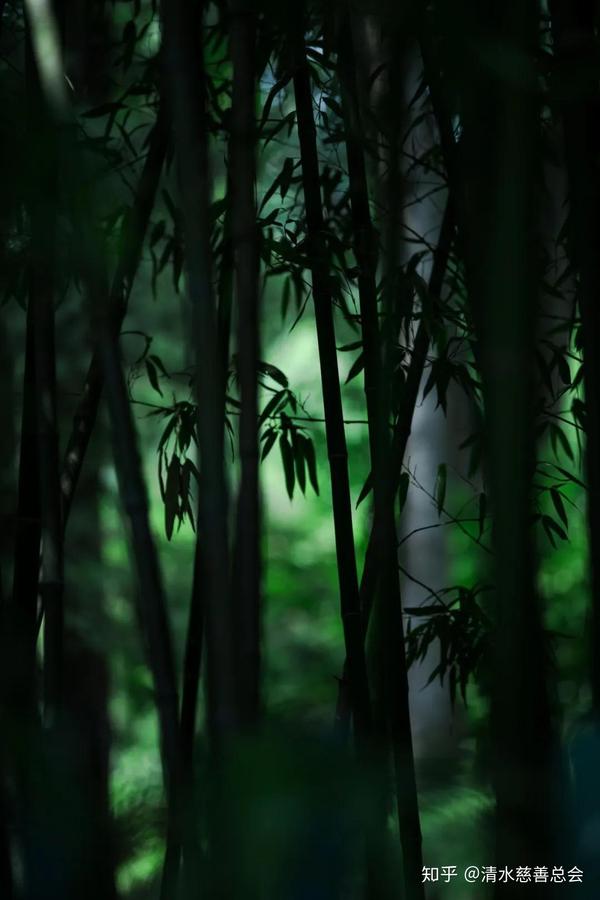 《道德经》:人生所有的惶恐不安,都源于内心的误解