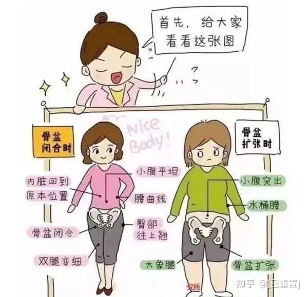 正常骨盆的状态