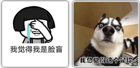 情侣套路我觉得我是脸盲套路表情包我觉得我是脸盲一套表情包