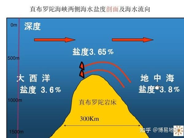 高密度海水下沉,从底部向西经直布罗陀海峡流向大西洋.