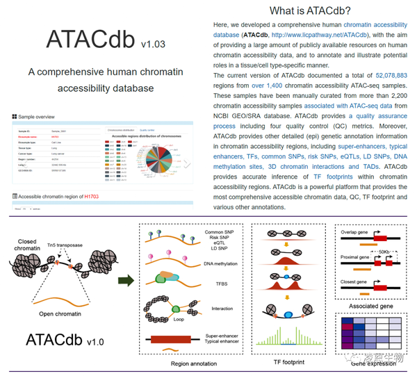 数据库 ATACdb一个全面的人类染色质可开放性数据库 知乎