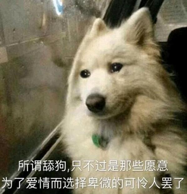 舔狗到底有多卑微?