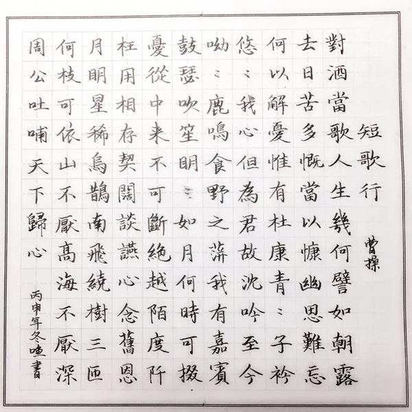 曹操《短歌行》钢笔字笔友习作欣赏