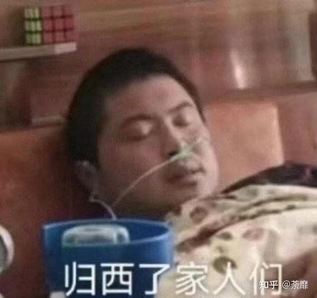 求徒步西藏丽丽的表情包