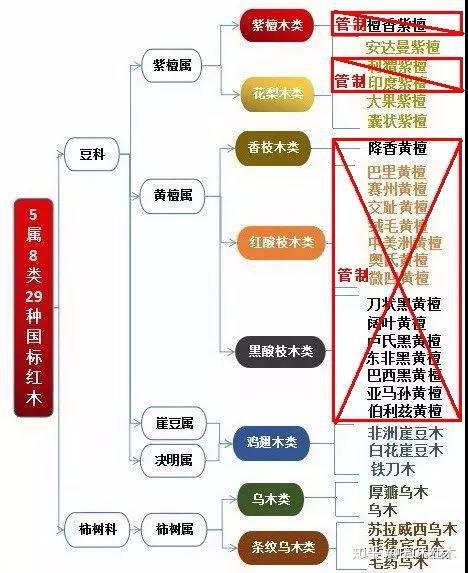 列入国际濒危管制的檀香紫檀(俗称小叶紫檀)等红木树种,29种国标红木