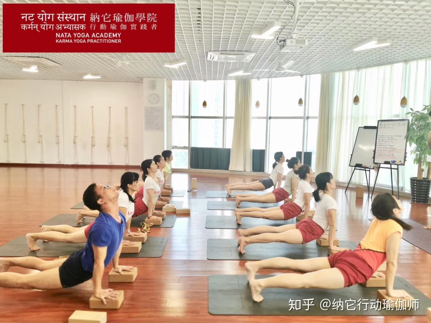 2、哪個瑜伽學校比瑜伽學校更專業?