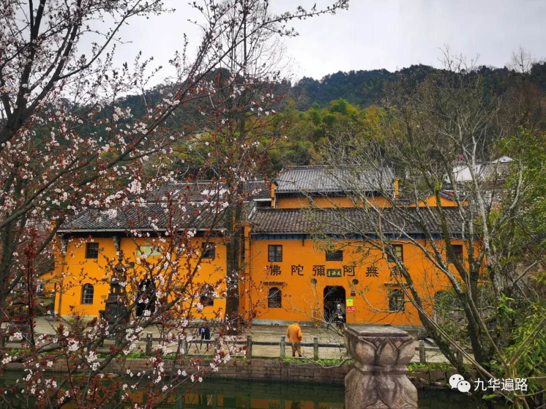 九华山99座寺院之14天池寺