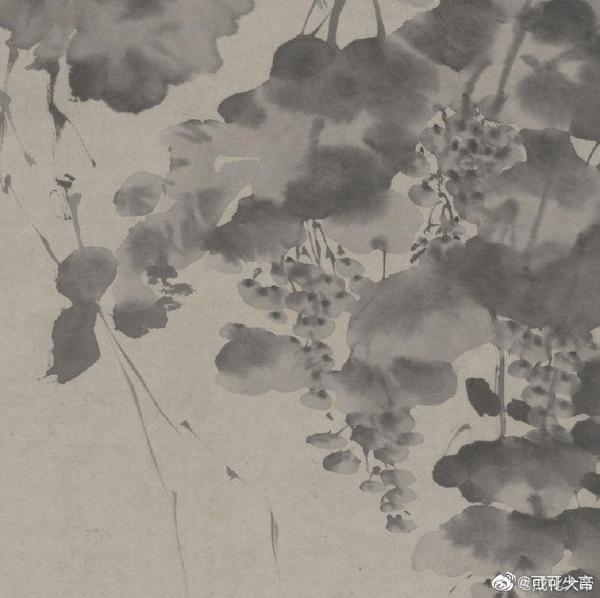 这幅《墨葡萄图》为徐渭五十岁后的作品,笔法生动豪放,将