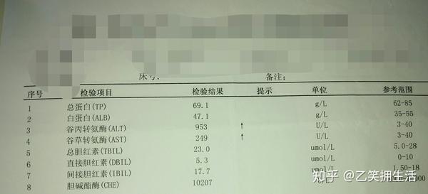 一名乙肝患者治愈过程的自白二