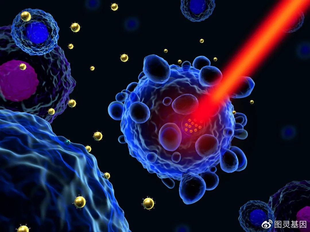 naturecomm癌细胞中生成金纳米粒子可用于成像与治疗