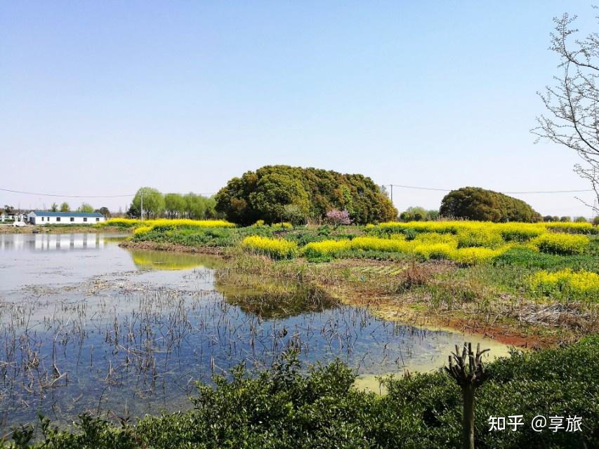 周末周边游,青西郊野公园攻略