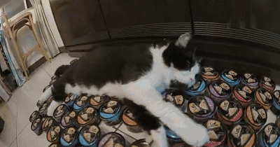 开关位置:罐头或其他美食   控制原理:吃货的力量 相对于前面的召唤