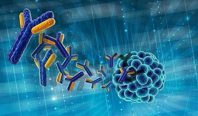 生物药中的王牌抗体类药物投资还有这些热点