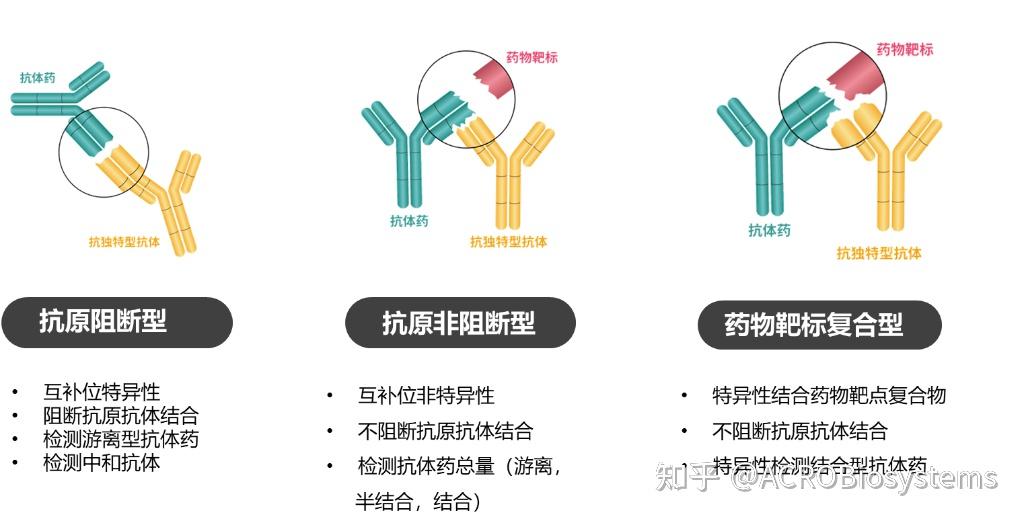 大分子药物评价pkadaassay先行