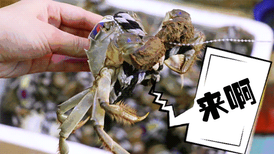 万碎爷日聊人为什么喜欢吃螃蟹的性器官