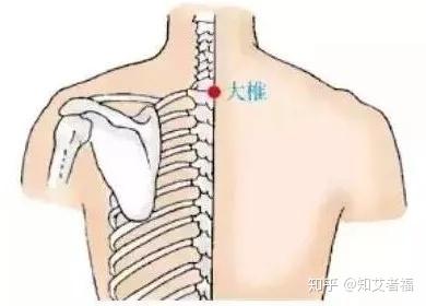 人体学位按摩图解大椎,曲池,肾俞,环跳,委中,关气穴位
