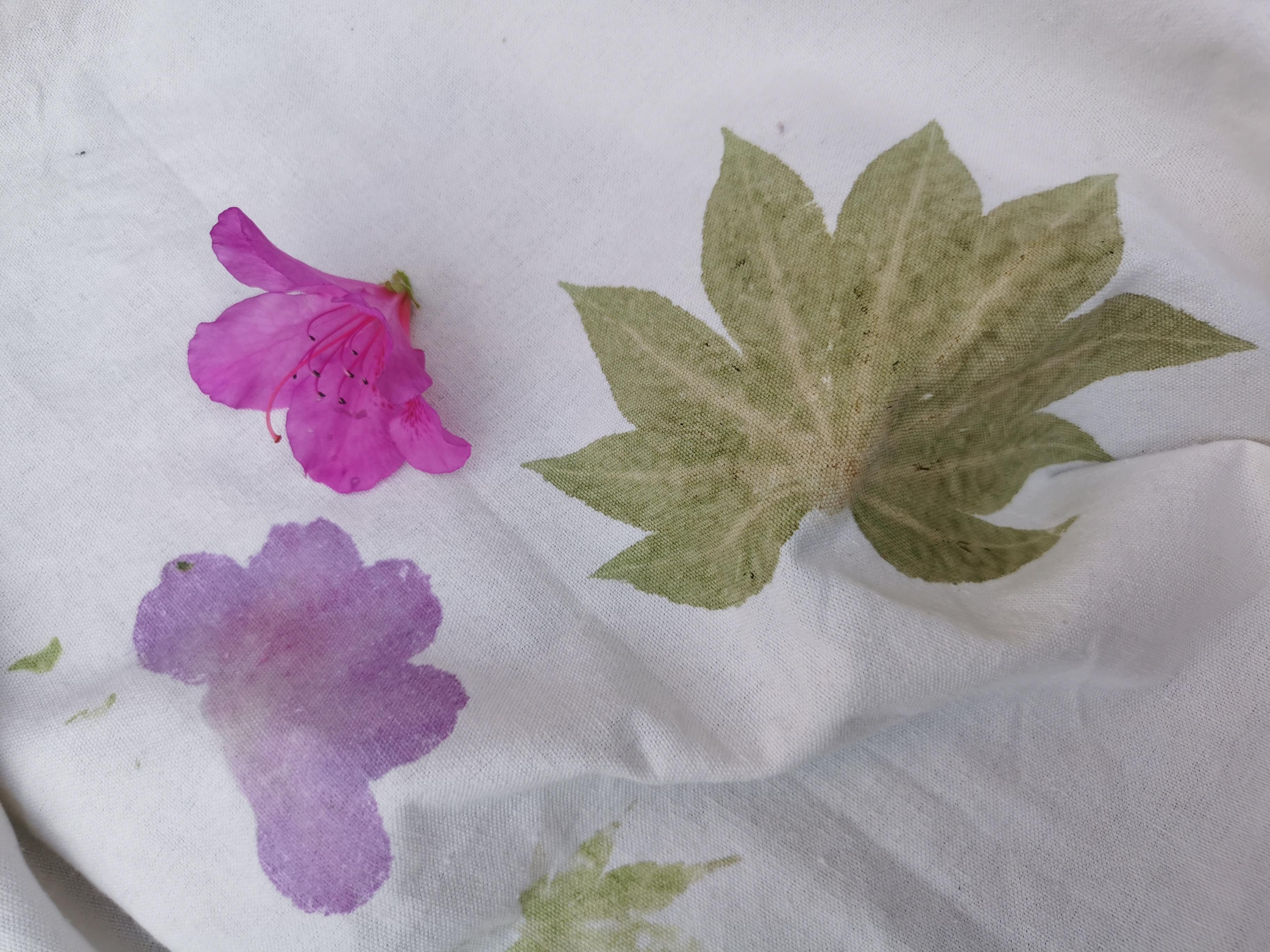 云南妈妈自学植物染承包女儿所有衣服染布的流程是怎样的普通人在家