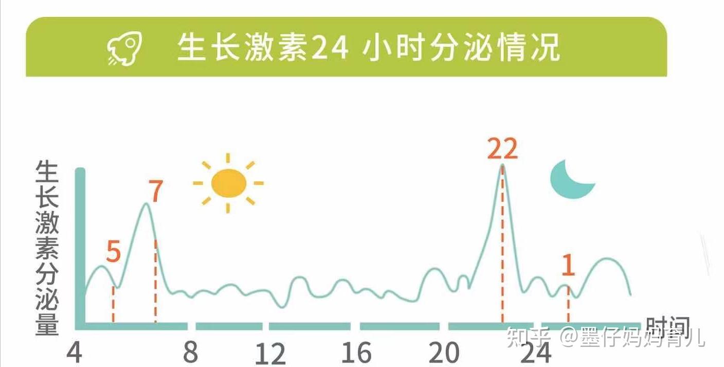 其实我在没看到这个话题之前也是认为生长激素分泌高峰期是处于固定