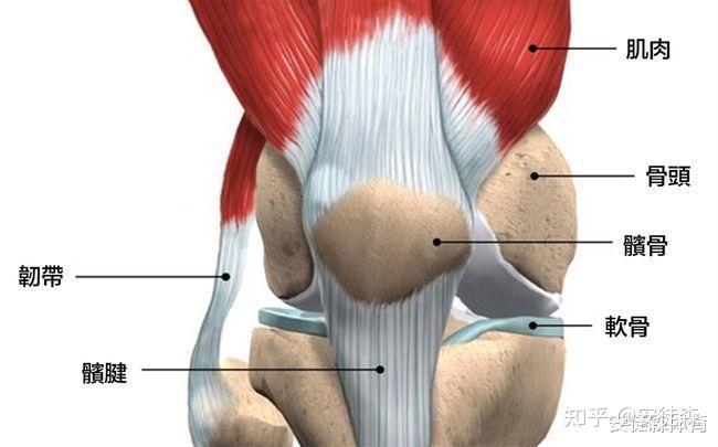 改善方法:把右大腿朝髋关节外旋的方向扭转,若不疼痛可在伸展状态下