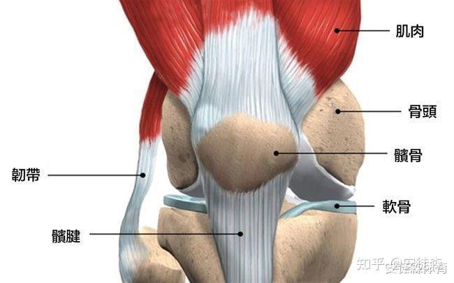 膝盖痛原因不只跑者膝这6种常见原因都可能是凶手