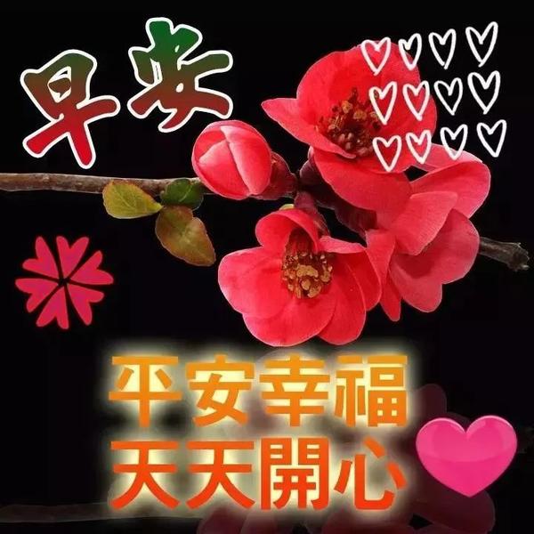 2021年7月20日早安问候祝福语图片带字温馨 清晨最新早上好图片问候语