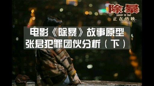 《除暴》原型:湘鄂渝特大系列劫案,张君团伙犯罪心理解析(上)