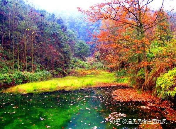 重庆九凤山网红民宿