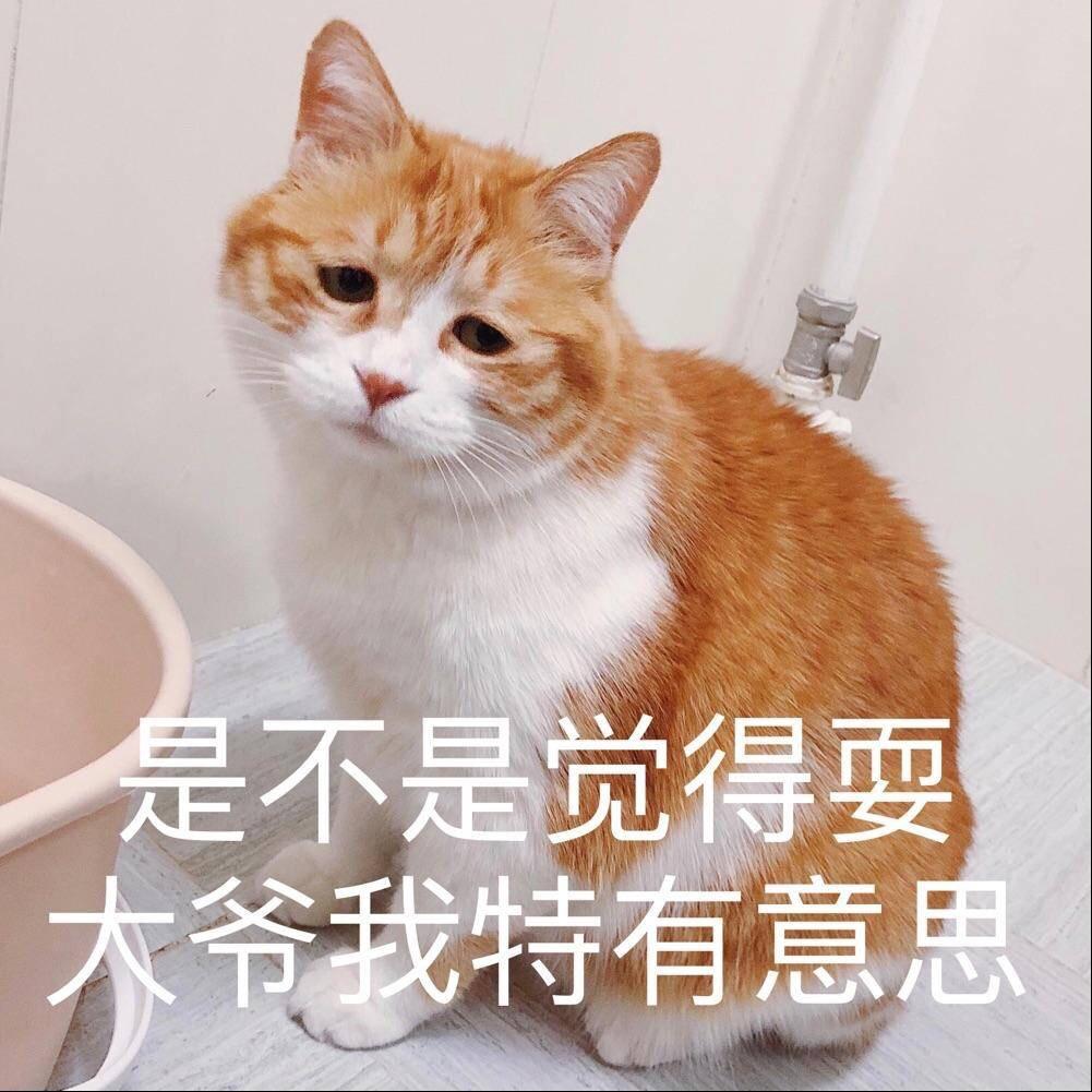 有哪些怼表情的表情?动态包图死人通灵术图片