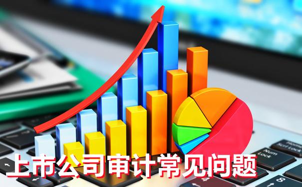 上市公司审计常见问题