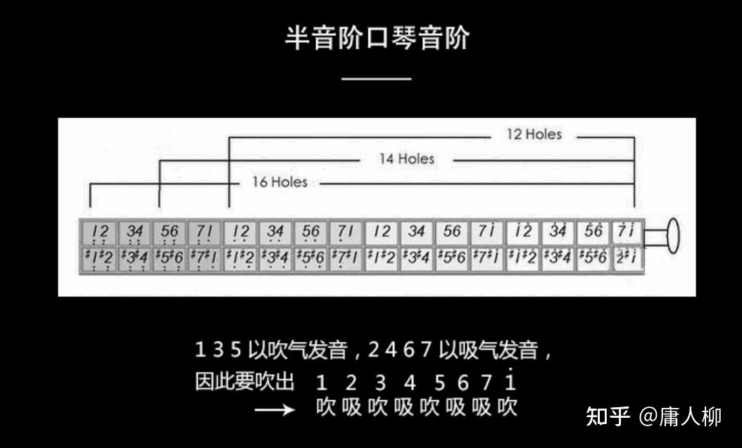 口琴选购攻略指南:口琴怎么学,口琴哪种好学(入门到进阶口琴推荐)