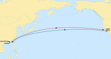 msc将在10月开启全新 "puma"航线,为中国华南地区至美国长滩地区的