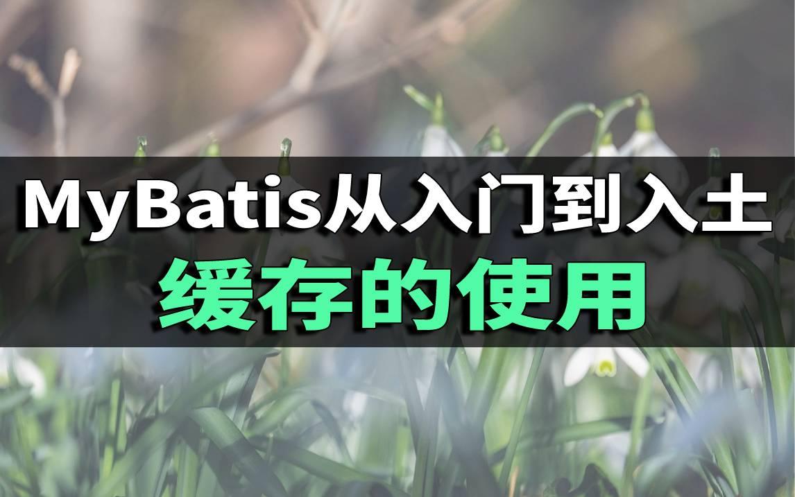 mybatis从入门到入土——缓存的使用