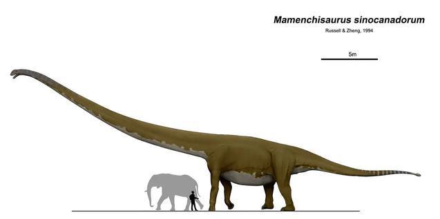史上体积最大的恐龙种类:身长堪比20层楼高