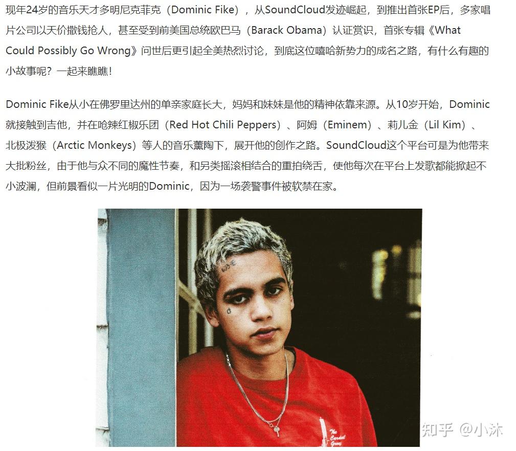 能介绍一下dominicfike吗