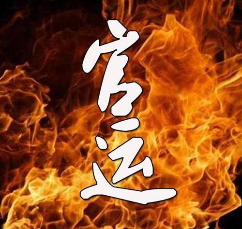 入门八字基础七官星