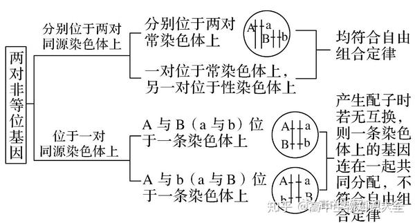 关于遗传规律题的易错点汇总