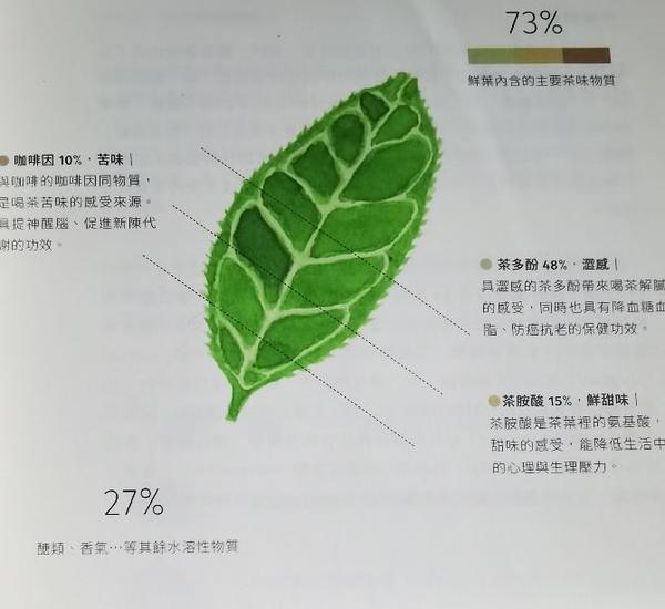 台湾乌龙茶-茶叶内含的风味物质(一)