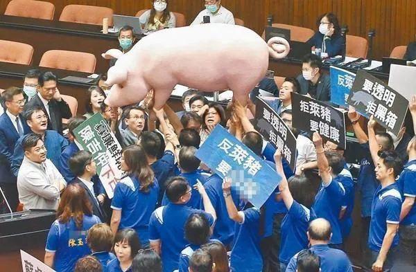 大门后,由国民党联合岛内民间团体共同推动的"反莱猪公投"运动一时间