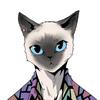 推荐——附"不推荐游戏本型号清单"【双11篇】玩机猫知乎好物推荐官