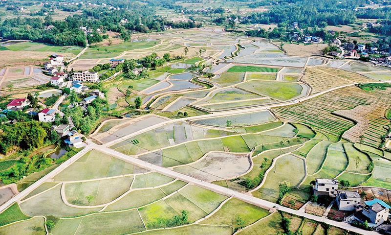 高标准农田建设是"中国饭碗"装满优质"中国粮食"的有力保障