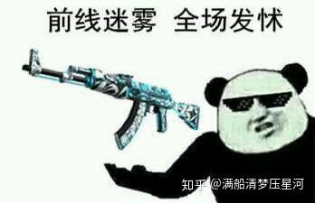 有什么csgo皮肤表情包啊?