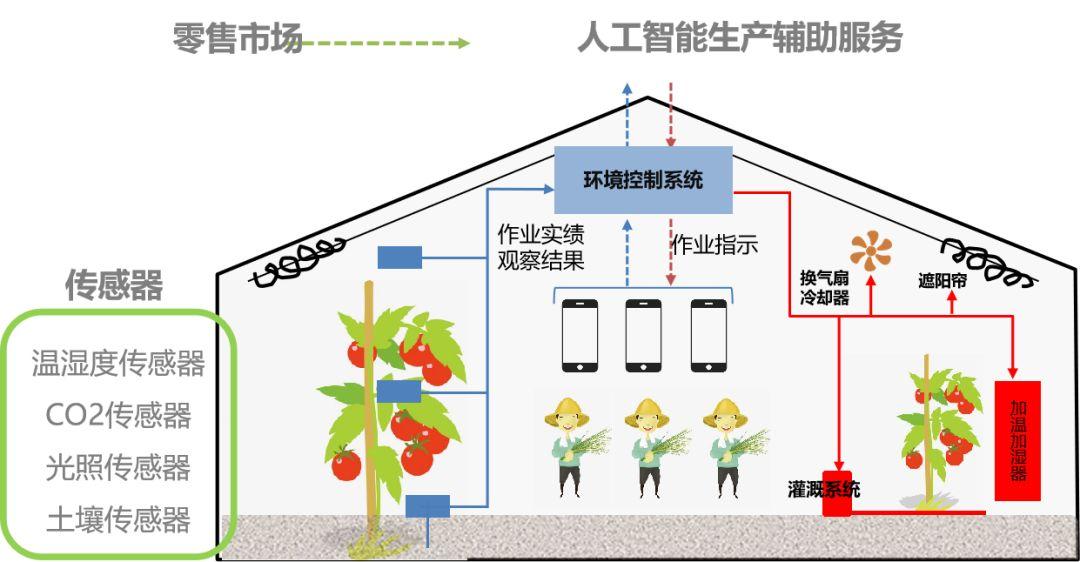 分分钟了解设施农业是啥智慧大棚都怎么个智慧法