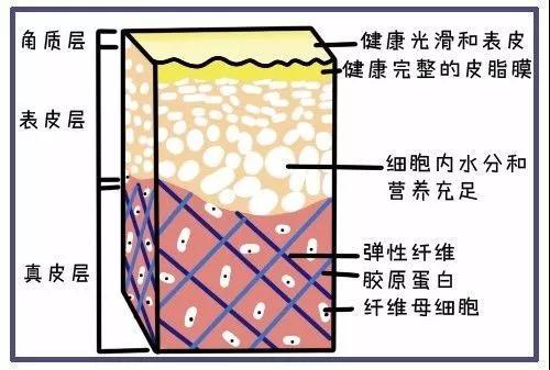 为什么皮肤会发黄