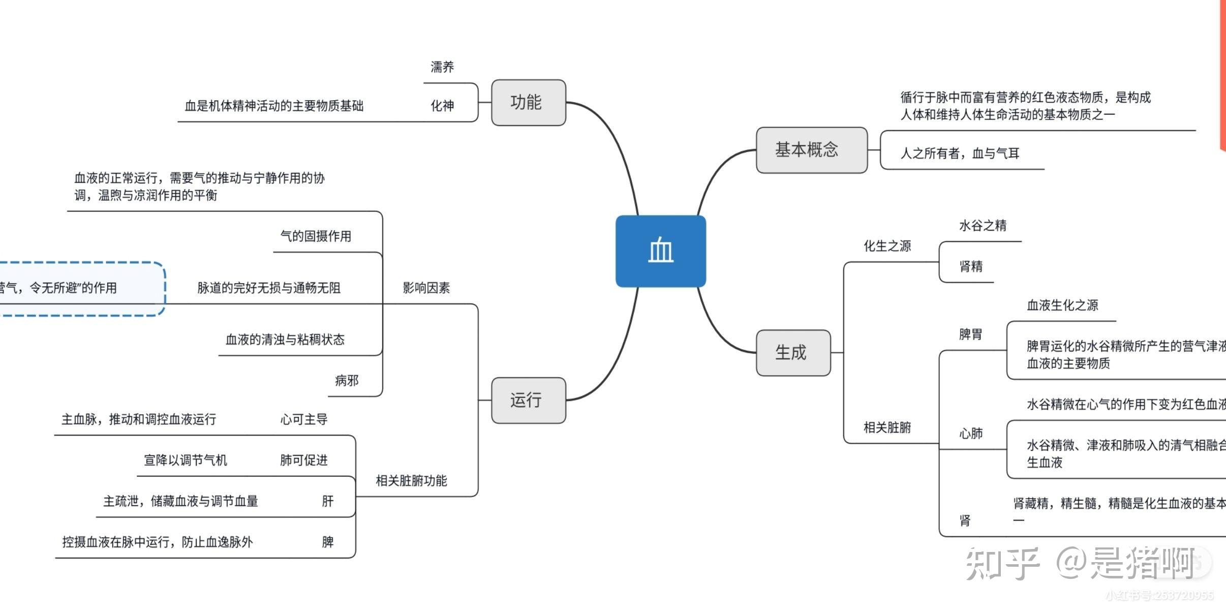 中医基础理论思维导图